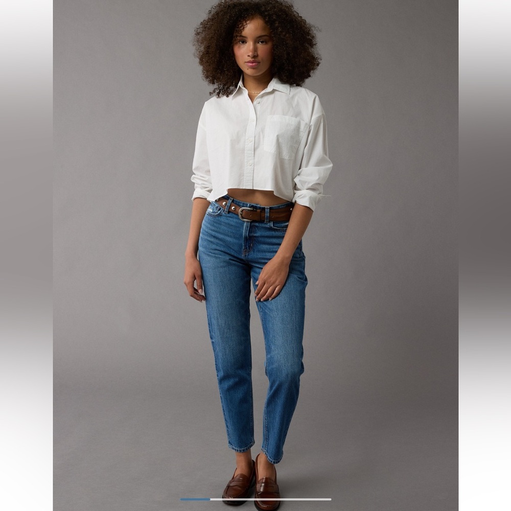 NWT American Eagle Strigid Curvy Mom Jean - Medium Wash